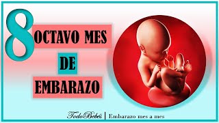 ❤️ OCTAVO MES DE EMBARAZO🤰 ⏩ SEMANA 31 a 35 ⏩ TERCER TRIMESTRE ⏩ Desarrollo y Evolución del Bebe