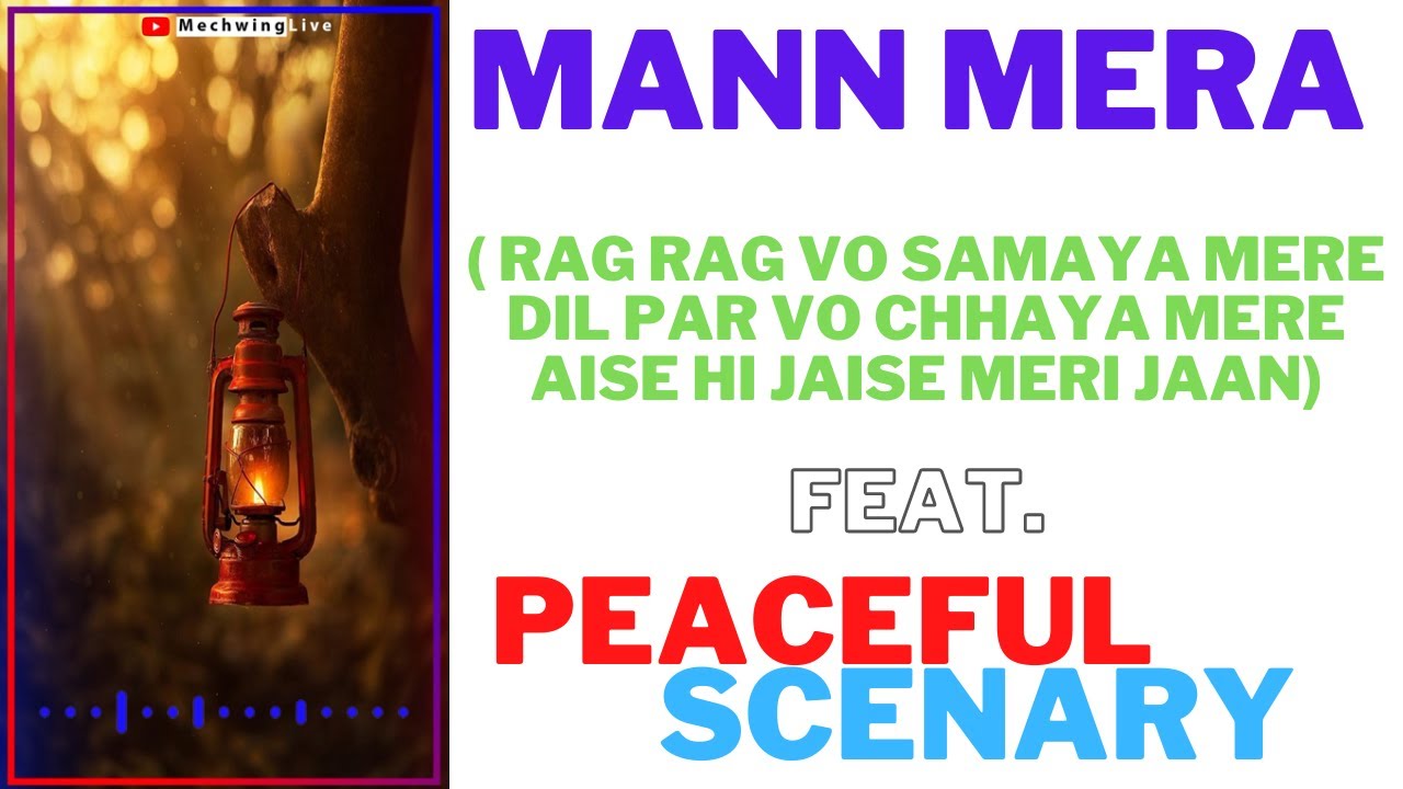 Mann Mera Status Kabhi Mera Tha Par Ab Begana Hai Ye Status Rag Rag