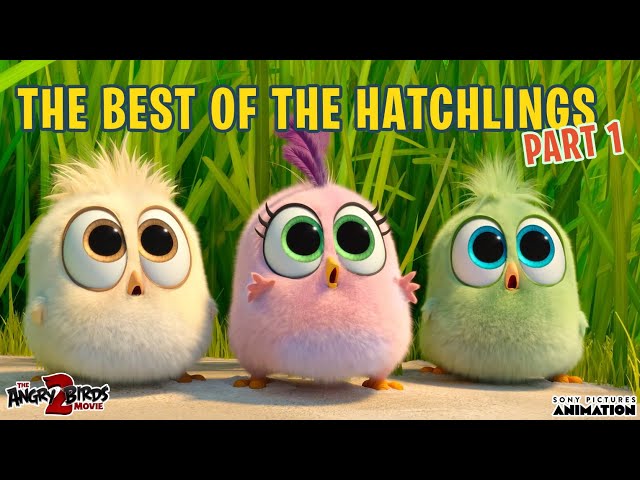 The Angry Birds Movie 2 | Best of the Hatchlings | Part 1 class=