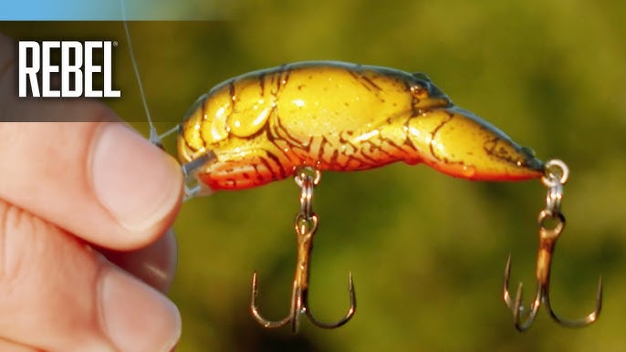 Craw Baits And Winter Trout 