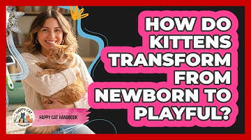 How Do Kittens Transform From Newborn To Playful? - Happy Cat Handbook
