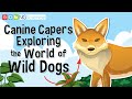 Roles and Characteristics of Canines