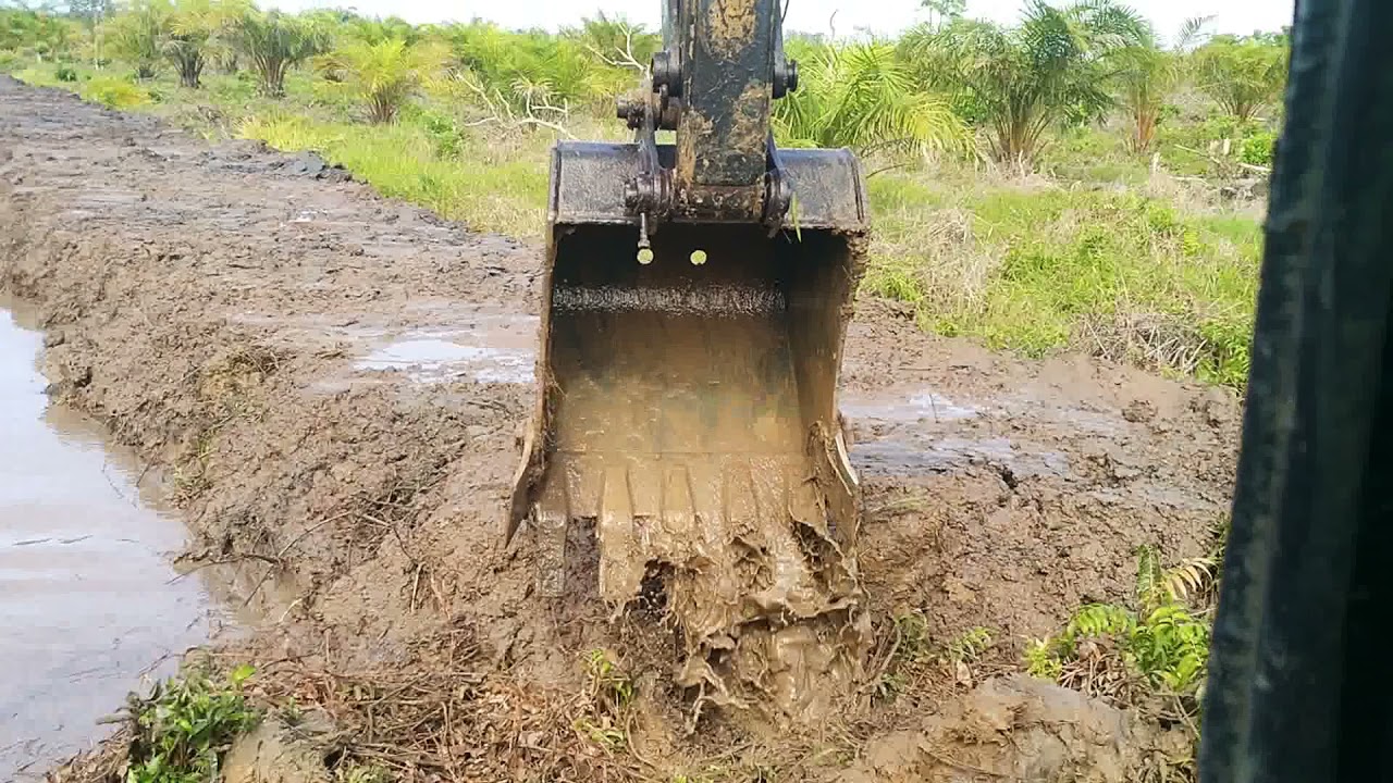 CARA MUDAH PEMBUATAN PARIT CACING AGAR CEPAT DAN LURUS DILAHAN RAWA