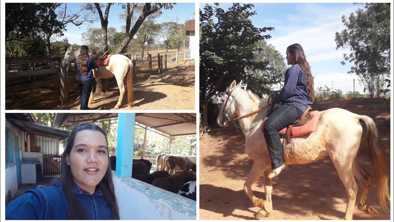 Arreando o cavalo e dando uma volta