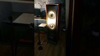 Hegel Driving Mofi Sourcepoint 888 Toronto Audiofest 2025