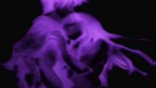 Sagopa Kajmer - Rak Ben Adam