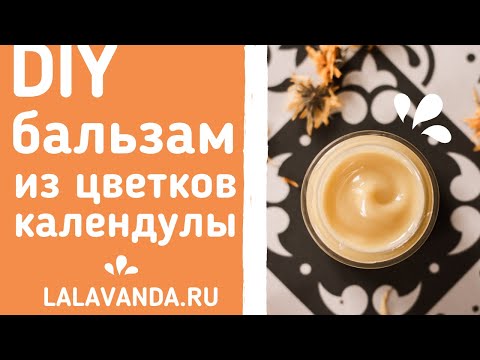 Мазь из календулы в домашних условиях