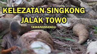 Download Lagu Kelezatan singkong jalak towo tawangmangu MP3