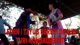 Ledek - tayup - bersih dusun turi nongkosepet,sidorejo,ponjong,Gunungkidul