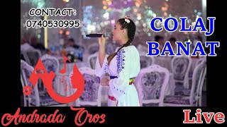 Andrada Oros & Paul si Ilie Pasca - Colaj Banat (LIVE 2018)