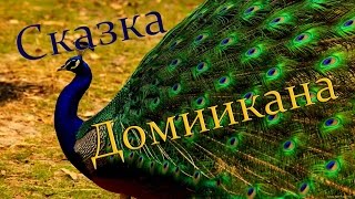 Тур в Доминикану! Отдых в сказочной Доминикане по туру ! Отзывы отдыхающих, Цены.(http://goo.gl/Tm2Lif Тур в Доминикану можно подобрать, приобрести или забронировать в компании Травелата, которая..., 2016-08-15T03:17:29.000Z)