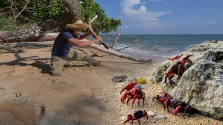 Brave Wilderness - Ghost CRAB Catch n Cook! Caught Using Bamboo