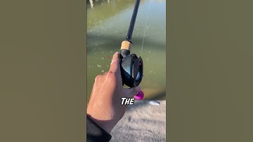 Gomexus Color changing handle! #baitcaster #gomexus #freshwaterfishing #saltwaterfsihing