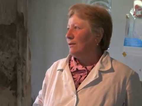 \"ჯერ ნაციონალები, ახლა ოცნება - ვერ მოიცალეს ალბათ ჩვენთვის\" - ჭობისხევის ამბულატორიის ექთანი