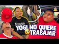 Me pele con yogi por no jalar   luisito delgado