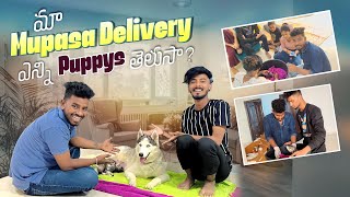 MA MUPASA DELIVERY |HAPPY MOVEMENT ❤️❤️|TEAM @rishi_stylish_official