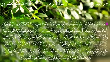 سورة الزمر 39 بصوت الشيخ أحمد العجمي