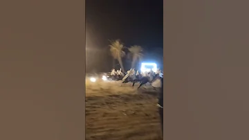 افراح خوالي ابناء علي احموده ملهاد 