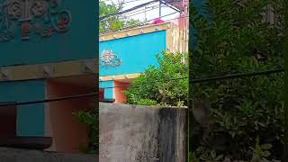 vera 11 voice la💞|article emotions|#shortsfeed#trending #viral#tamil#reels#vlog