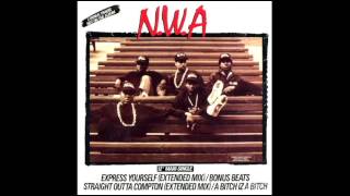 N.W.A - Express Yourself [Extended Mix] (Drum Break - Loop)