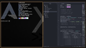 ArcoLinux : 785 how to change the border width in xmonad