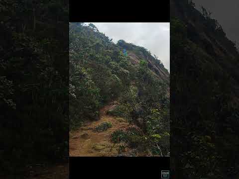 Kirigalpoththa – A Journey to Sri Lanka's Second-Highest Peak | Horton Plains
