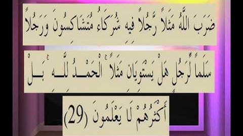 القرآن الكريم سورة الزمر الاية 29