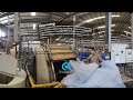 PrimeAsia China - Retanning (360° Video)