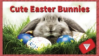 Cute Easter bunny compilation for kids (BEST TOP 10 VIDEOS)