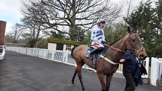 My Mate Aj Runs At Lingfield