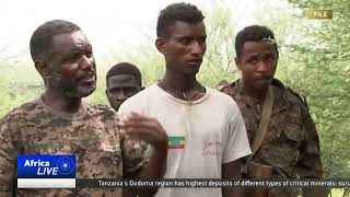 Former Ethiopian rebels to join rehabilitation and training centres