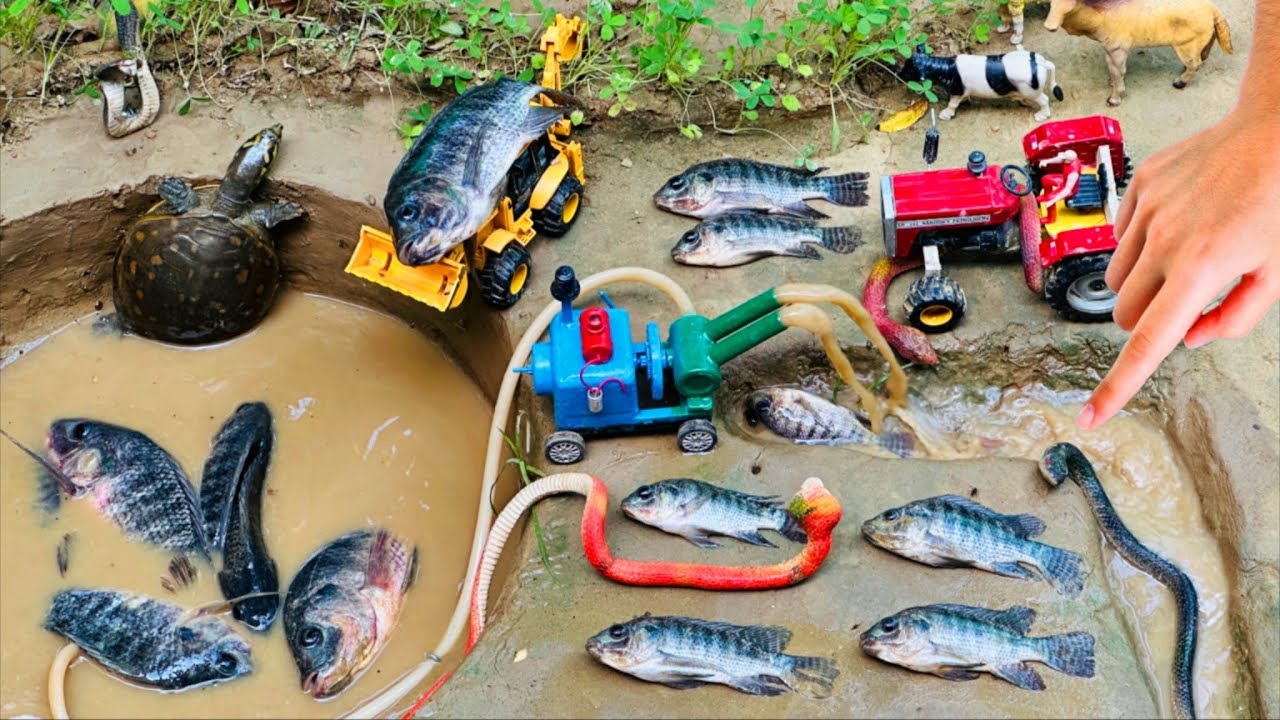 Catch fish using mini water pump and Kubota RD 85 diesel engine | Fishing exciting | diy tractor