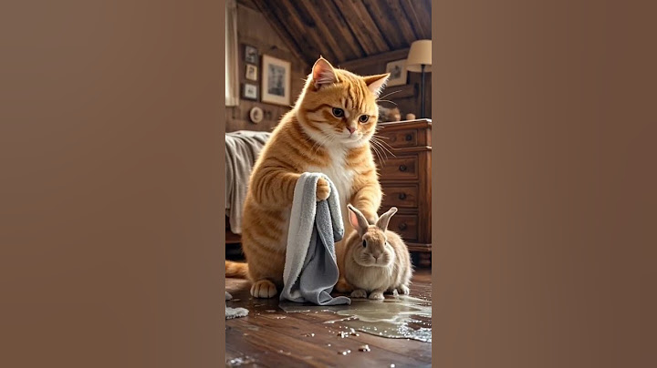 The Cat turned out to be smarter than me #cat #cats #catshorts #catvideos #catlovers #trendingvideo