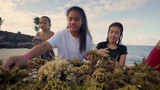 Samoa's Ocean Strategy: Preserving Our Lifeline for the Future by Conservation International 628 views 8 months ago 3 minutes, 48 seconds