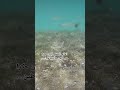 العالم السفلي ليس حكرا على الجن والشياطين العالم السفلي ليس حكرا على الجن والشياطين