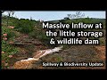 Monitoring storm water impact on road and dam water flow spillway and biodiversity