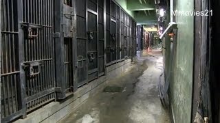 世界の熊館 バックヤード見学~World　Bear Exhibition　Backyard