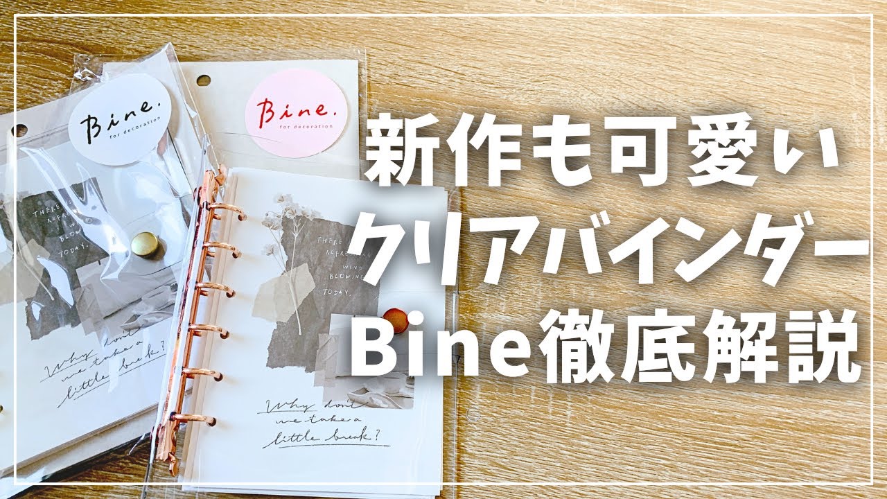 Planner] Introducing a new cute Bine! A thorough explanation of