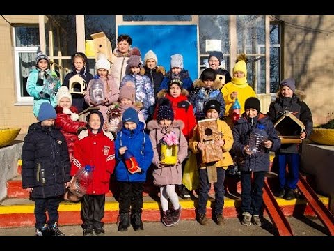 Телеурок Добро Новогодний подарок - Покормите птиц зимой. Урок в 3-А классе 140 школы Донецка.