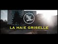 La haie griselle  filme ton quartier 2022