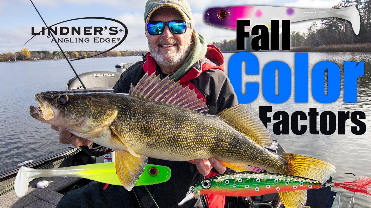 Early Ice Walleye Tips ft. Brad Hawthorne (Red Lake Action) 