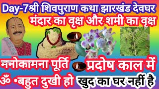 मंदार वृक्ष और शमी पत्र का महाउपाय जरूर करें#प्रदोष काल में#pradeep mishra ji#ajj ki ktha ka upay