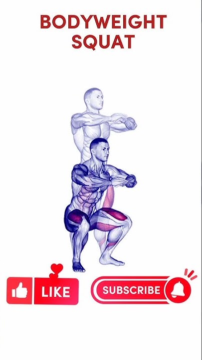 NO GYM CENTRE TODAY How Can I Teach Myself To Squat How Do You Do no-gym-centre-today-how-can-i-teach-myself-to-squat-how-do-you-do