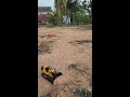 Work and Rest: RC Bulldozer in a Quiet Rural Setting