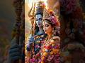 shiv ke karanma | शिव के करनमा #shivvivahgeet,#maithilibhajan, #devotional,#ytshorts,@navratrishri|