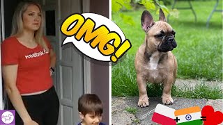 WIFE GETS MAD / Indian Husband Surprises Wife With a French Bulldog Puppy / Reaction video AMWF