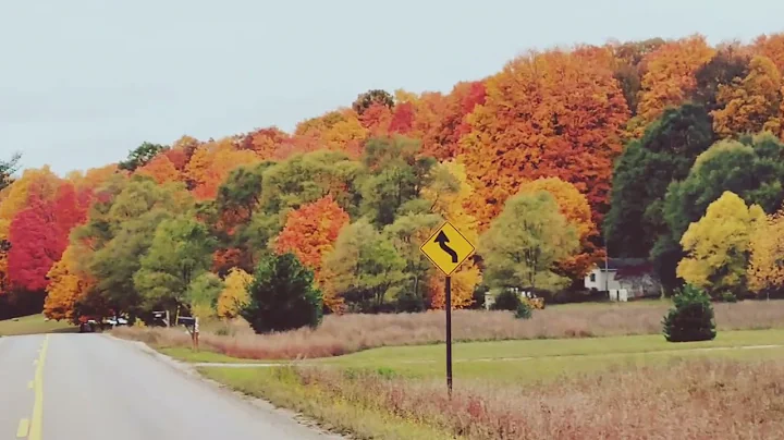 Traverse City Fall Colors Tour 2023 - October 22nd #puremichigan