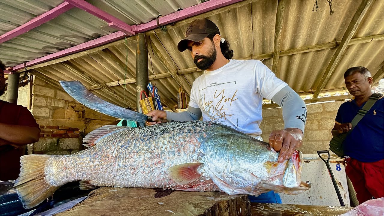 A Day in the Life: Island Fishermen & The Busiest Rural Fish Cutting Market