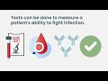 What follow up appointments should be necessary before and after treatment? #CLL