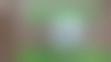 SQ8 Mini DV Stopped Working